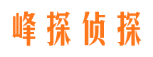 江阳市场调查